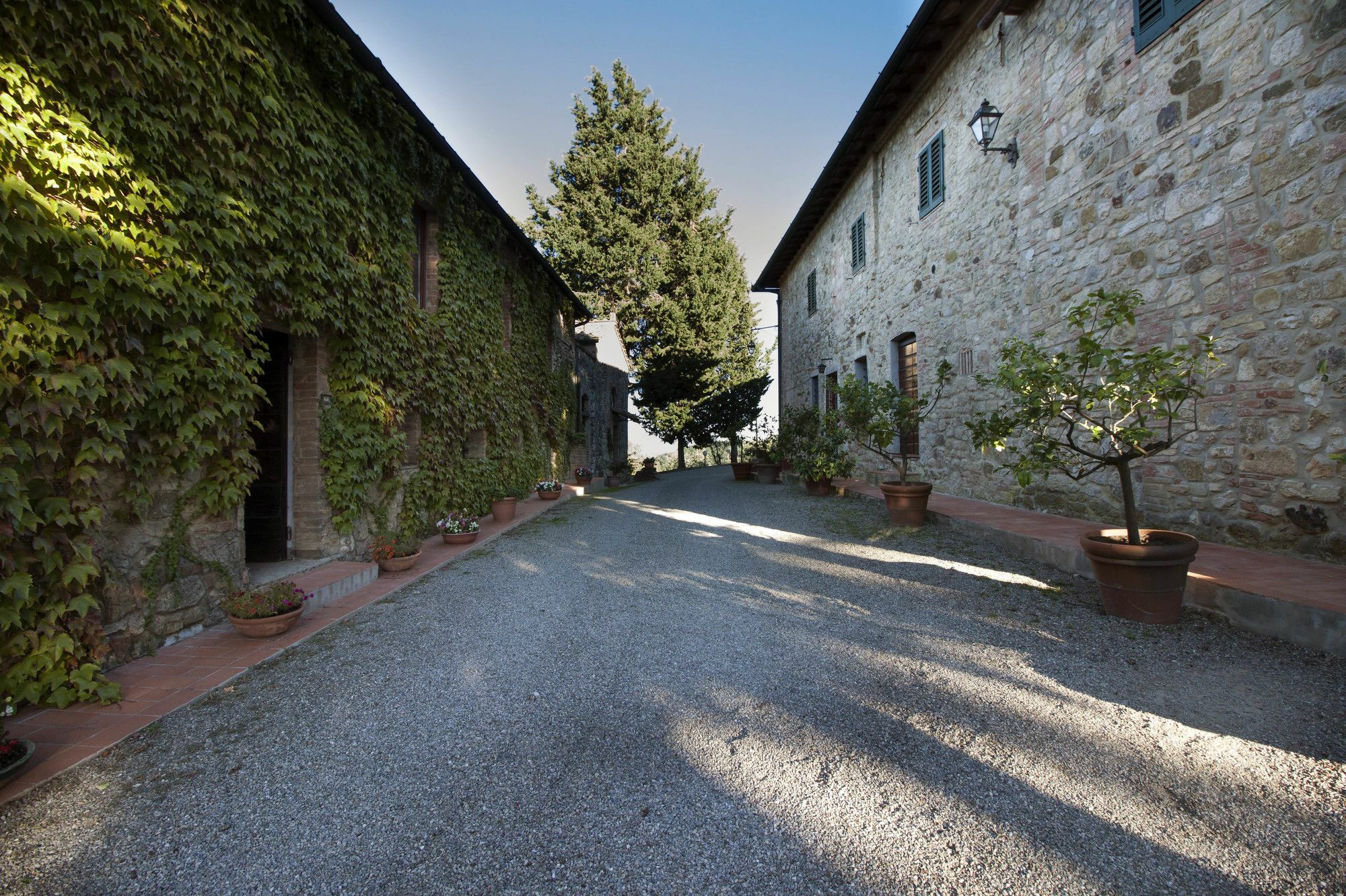 B&B La Torre - Fattoria Di Larniano San Gimignano Dış mekan fotoğraf